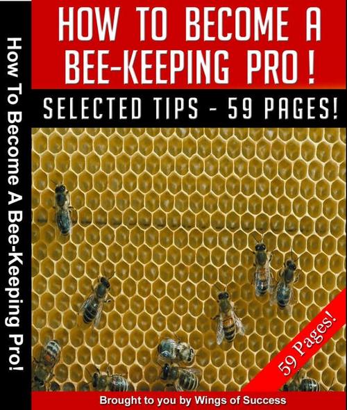 Product picture How to Become A Bee-Keeping Pro